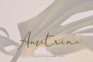 Ametrine: The Handcrafted Font That’s Reshaping Digital Authenticity