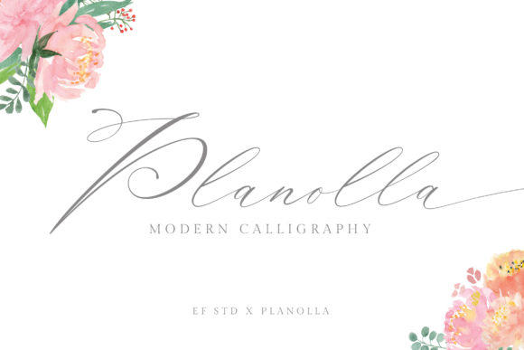 Planolla: An Artistic Script Font for Creative Craft