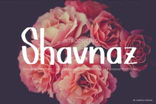 Shavnaz: A Versatile Sans Serif Font for Modern Design