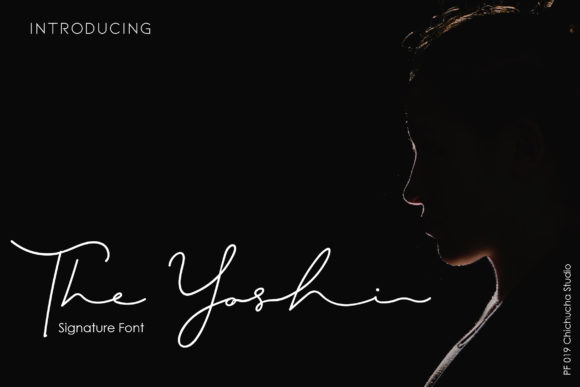 The Yoshi